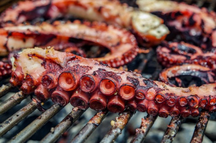 How to cook grilled octopus greek style